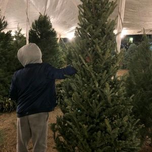 Meet your Posher, Deangelo